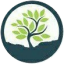 Media Development Foundation