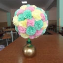 DSCF4833