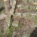 DSC03637