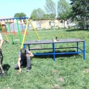 DSC01826