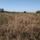IMG_20190911_085843