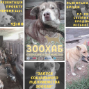 зображення_viber_2021-06-21_17-55-32
