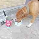 IMG-21ec36a54850c882532789e64cd1d307-V