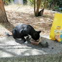 IMG-96772e133e928acd3c67de1673d74251-V